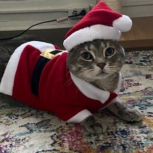 Meet your Posher, Jacqueline